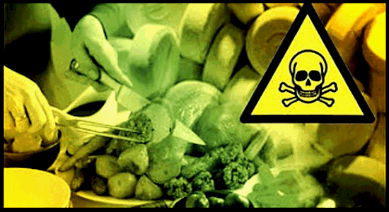 ядовитые продукты для питомцев